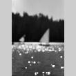 Sailboats on the lake (ddr-densho-336-552)