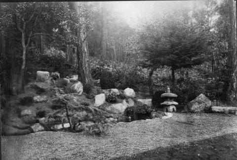 Stone lantern in a garden designed by the Kubota Gardening Company (ddr-densho-354-118)