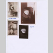 Copy of four images with caption (ddr-densho-430-349)