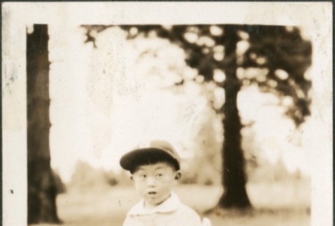 Moss Fujii in a baseball catcher uniform (ddr-densho-321-710)