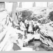 Japanese Americans at Shoshone Falls (ddr-densho-15-68)