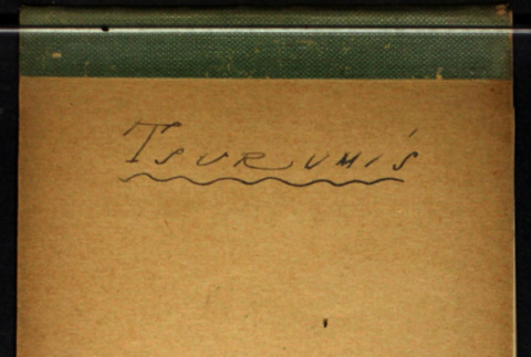 Tsurumi's (ddr-densho-335-437)