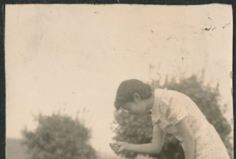 Woman teaching dog to sit (ddr-densho-523-41)