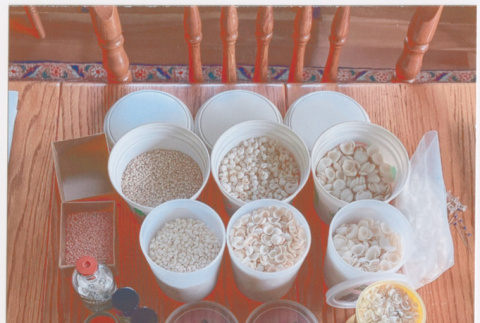 Containers of shells used for shell art (ddr-densho-539-7)