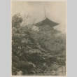 Kiyomizu Temple Park (ddr-densho-357-484)