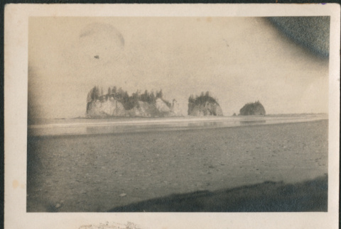 Sea Stacks on Oregon coast (ddr-densho-523-6)
