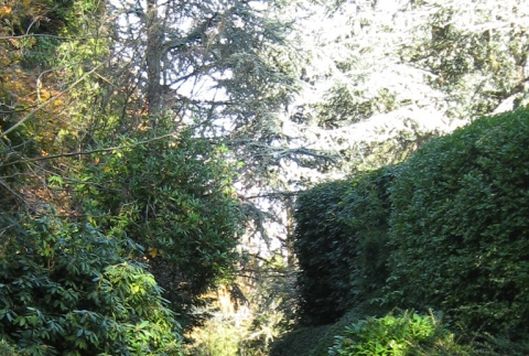 Path near Spring Pond (ddr-densho-354-1864)