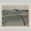 Farming in bombed out areas (ddr-densho-299-12)