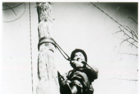 Man climbing pole (ddr-densho-1007-859)