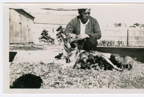 Riichi with a litter of puppies (ddr-densho-480-102)