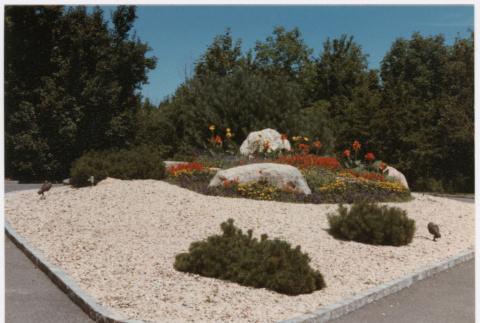 Roundabout with rocks and flowers (ddr-densho-377-2413)