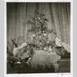 Christmas Tree (ddr-densho-477-170)