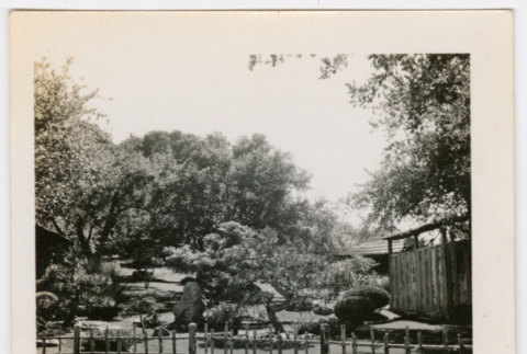 Fenced garden (ddr-densho-377-2253)