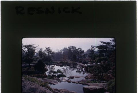 Pond and rock garden at the Resnick project (ddr-densho-377-1158)