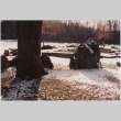 Garden in snow at the Kaye project (ddr-densho-377-72)