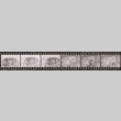 Negative film strip for Farewell to Manzanar scene stills (ddr-densho-317-99)