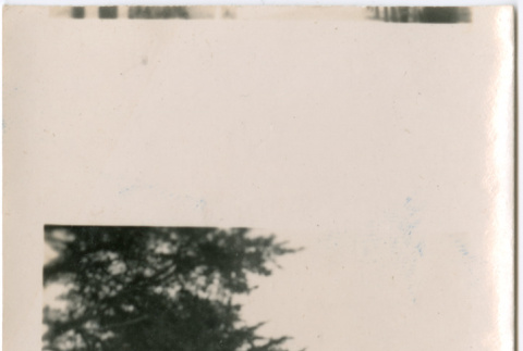 Man facing camera (ddr-densho-426-2448)