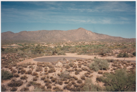 Empty cul-de-sac with golf course in the background (ddr-densho-377-1702)