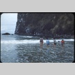 Wading at the Oregon Coast (ddr-one-1-456)