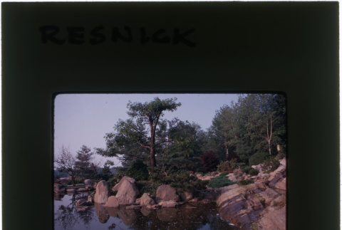 Pond and rock garden at the Resnick project (ddr-densho-377-1157)