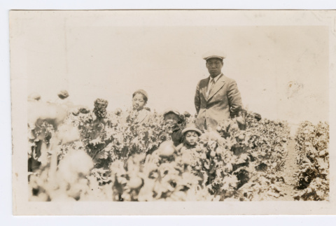 Miyoshi family in field (ddr-densho-480-96)
