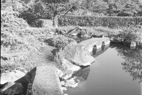 Bridges in Japanese Garden pond (ddr-densho-354-1956)