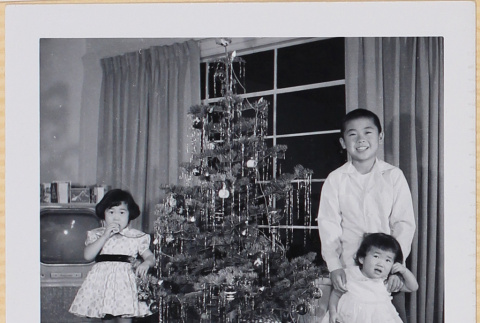 William, Susan and Leslie Shiomi by Christmas tree (ddr-densho-522-527)