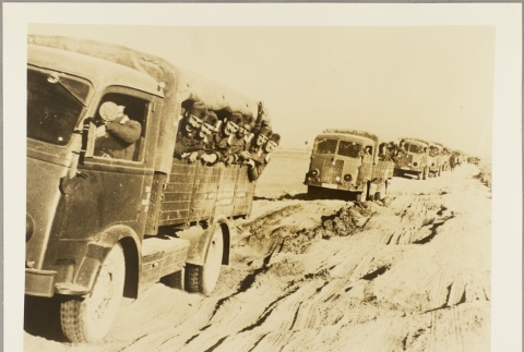Caravan of trucks transporting Italian soldiers (ddr-njpa-13-798)