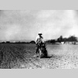 Man working in a field (ddr-densho-18-26)