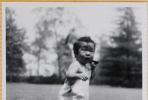Susan Shiomi (ddr-densho-522-201)