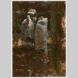 Rock feature in pond (ddr-densho-377-1955)