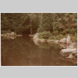 Landscaping around water (ddr-densho-377-1811)