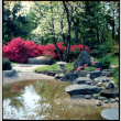 Water feature and landscaping (ddr-densho-377-1482)