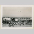 Standing crowd at an Armistice Day program (ddr-densho-37-1185)