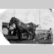Issei man behind a horse plow (ddr-densho-25-13)