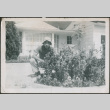 Man kneeling by flower bed (ddr-densho-293-50)