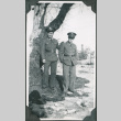 Two men in uniform standing by tree (ddr-ajah-2-92)