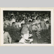 Crowd at Butte (ddr-densho-37-1505)