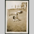 Child plays on lawn (ddr-densho-359-389)