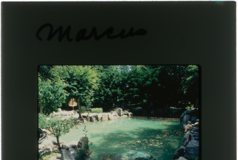 Pool at the Marcus project (ddr-densho-377-466)