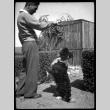 Frank Miwa with dog doing trick (ddr-densho-475-82)
