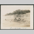 3 people swimming in water (ddr-densho-378-659)
