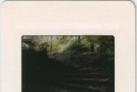 Front and back (ddr-densho-377-446-mezzanine-56e65c267c)