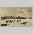 View of Mt. Rainier from Paradise Valley (ddr-densho-124-8)