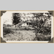 Hidemi Sugino's home in Almont (ddr-densho-542-419)