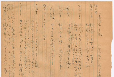 Document in Japanese (ddr-densho-501-352)