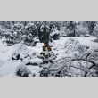 Don Brooks working in deep snow (ddr-densho-354-2419)