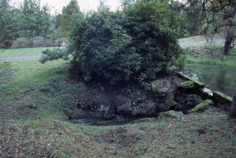 Upper pond in the Nursery (ddr-densho-354-1356)