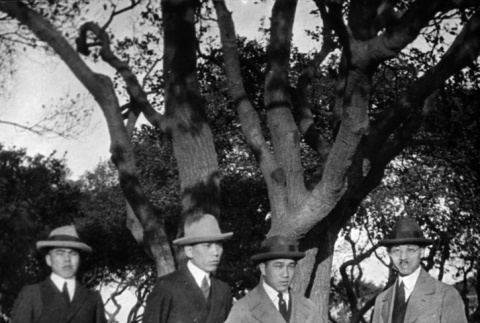 Four men in hats by tree (ddr-ajah-6-879)