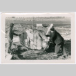 Moving boulder (ddr-densho-377-2222)